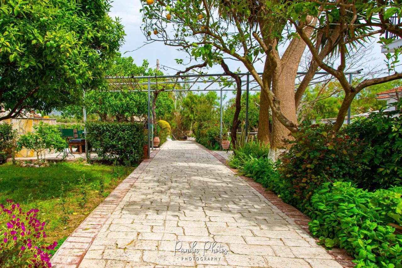 Zante Apts Laganas Exteriör bild