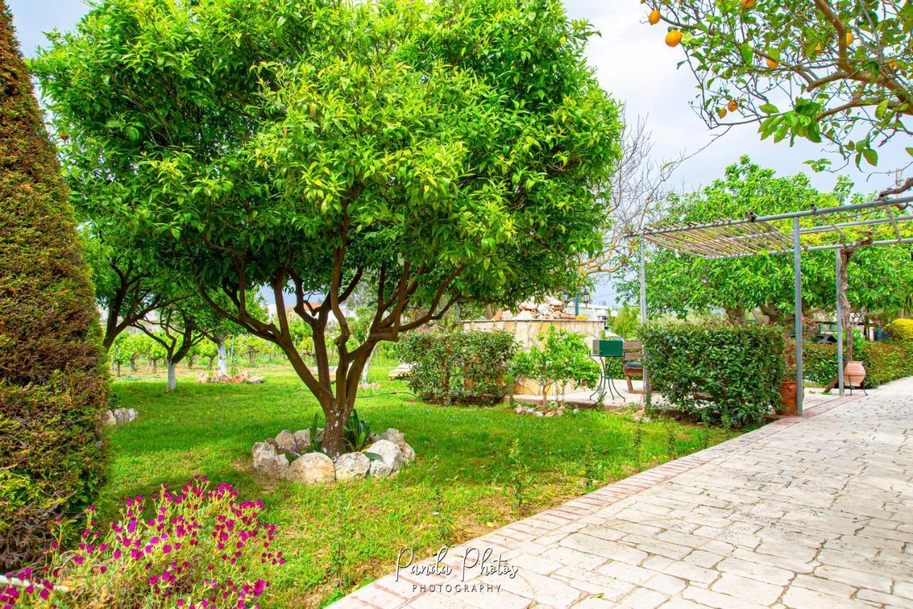 Zante Apts Laganas Exteriör bild