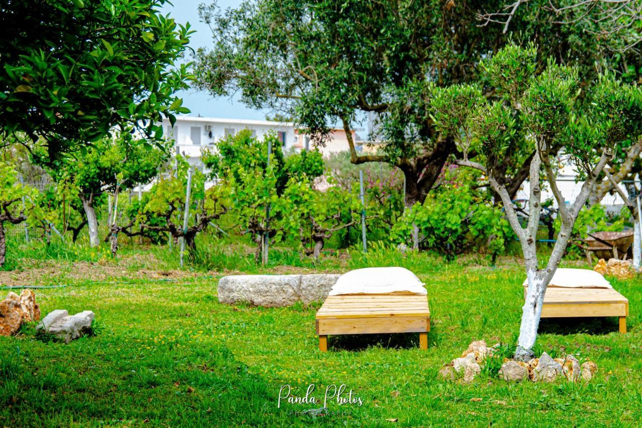 Zante Apts Laganas Exteriör bild
